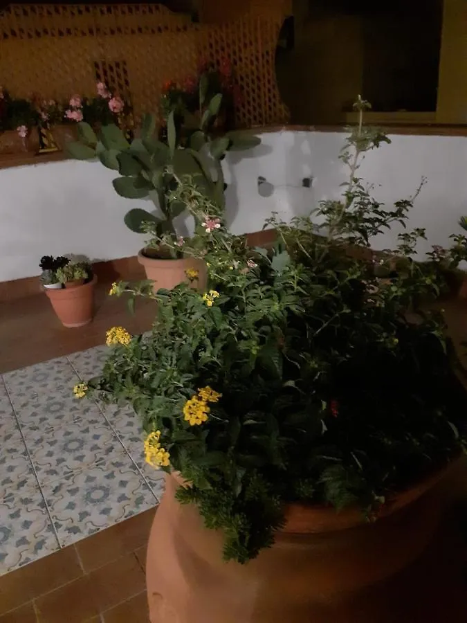 Villa Dolce Far Niente à Noto 0*,